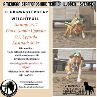 Klubbmästerskap i Weightpull