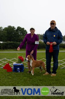 1a Goldroad’s Dubbel Trubbel In Show